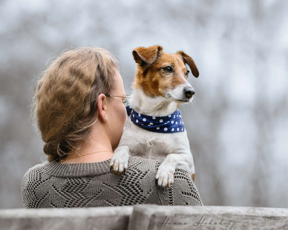 Tier- und Portraitfotografie Hanna Hohnholz (Tier- und Portraitfotografie Hanna Hohnholz)