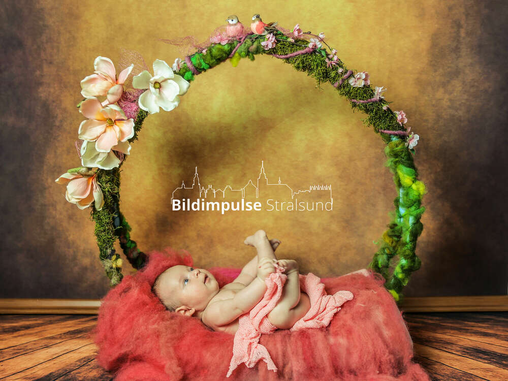 Bildimpulse Stralsund (Bildimpulse Stralsund)