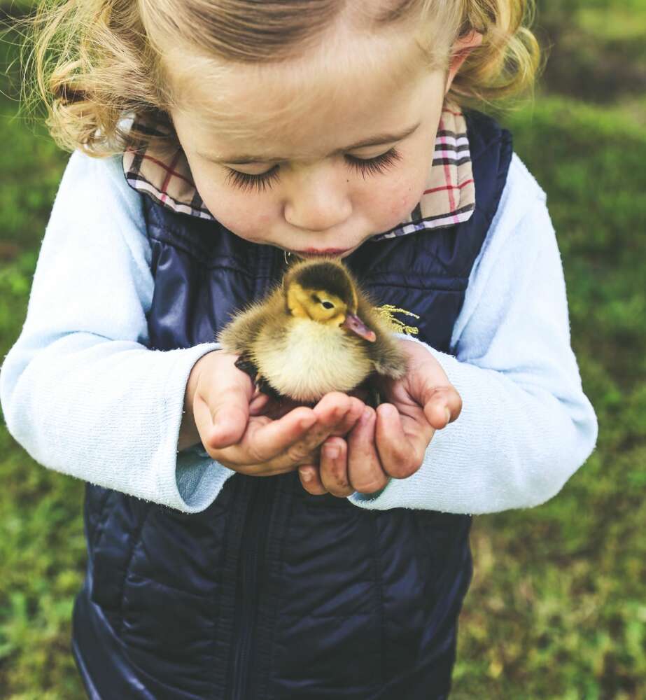 Bildimpulse Stralsund (Bildimpulse Stralsund)