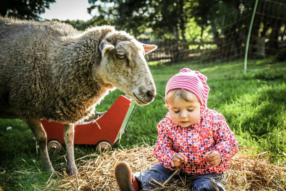 Bildimpulse Stralsund (Bildimpulse Stralsund)