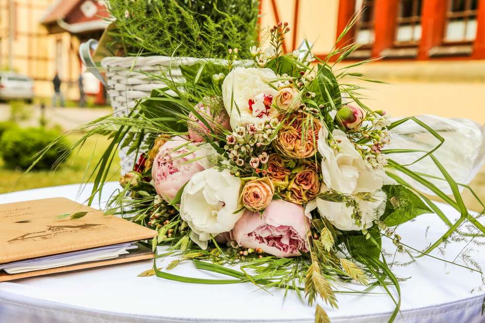 Bildimpulse Stralsund (Bildimpulse Stralsund)