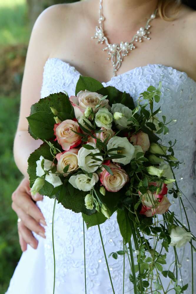 Bildimpulse Stralsund (Bildimpulse Stralsund)