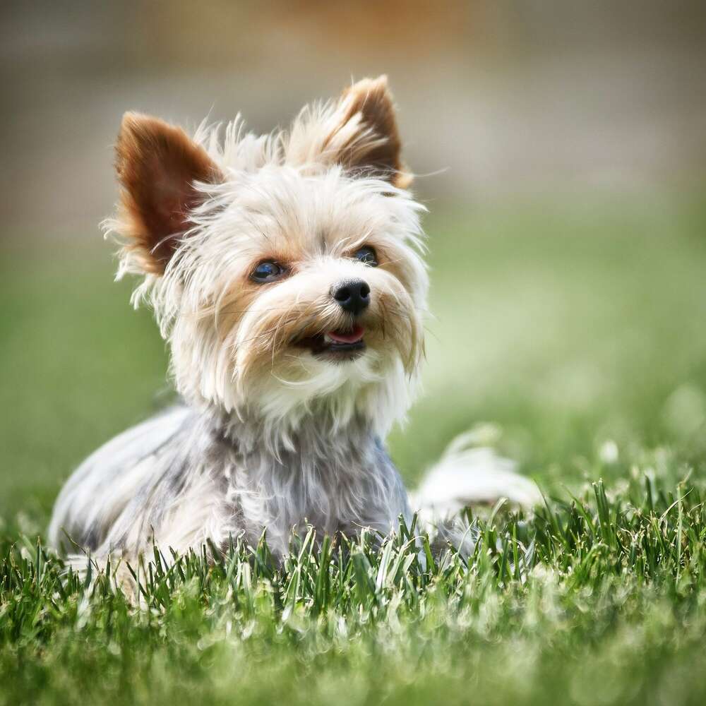 Fernanda :-)  (Fotografie Mayer)