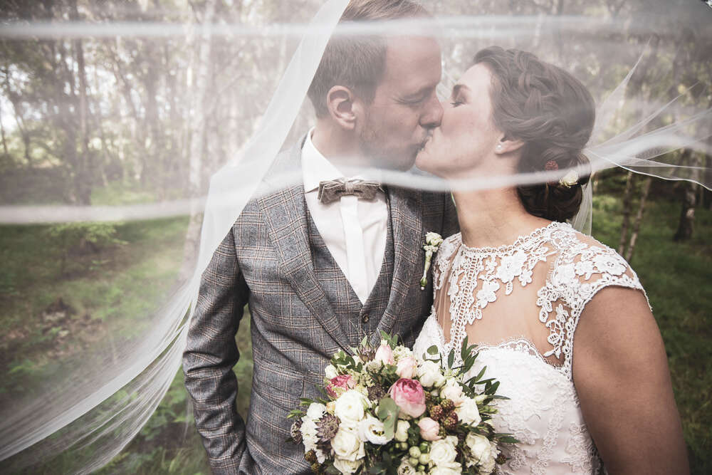 kaisermedia (kaisermedia)