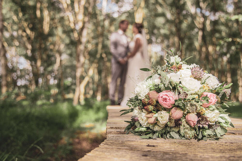 kaisermedia (kaisermedia)