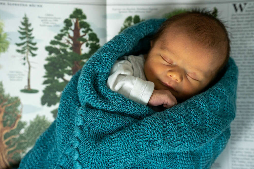 TK Photography (TK Photography)