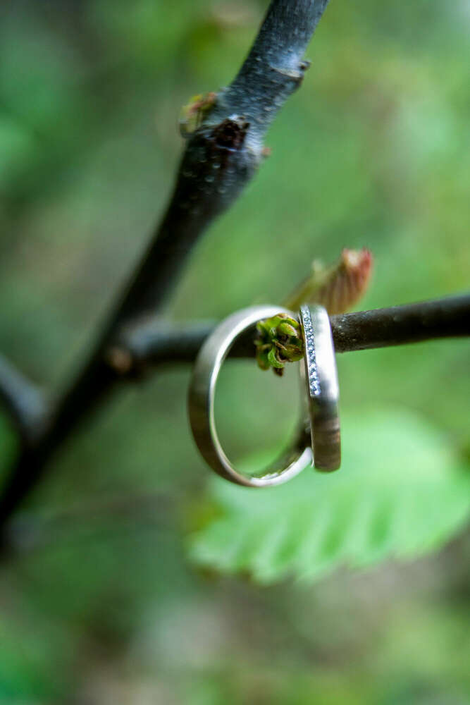 TK Photography (TK Photography)