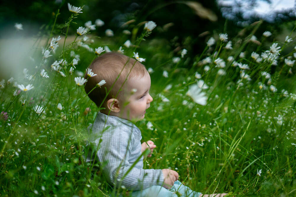 TK Photography (TK Photography)