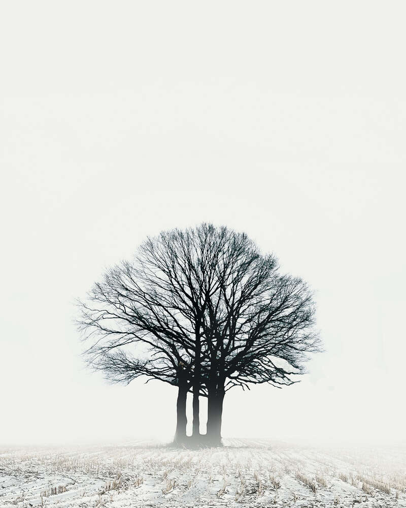 3 Freunde (Sam Green Photography)