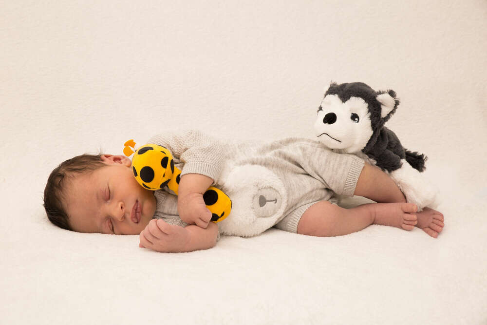 Aladin-PhotoDesign (Aladin-PhotoDesign)