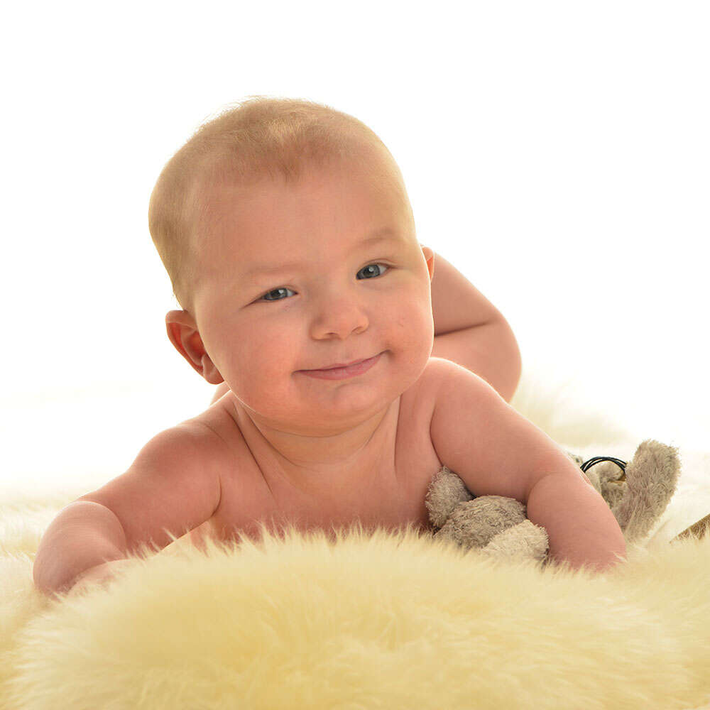 Schmitt Photodesign (Schmitt Photodesign)