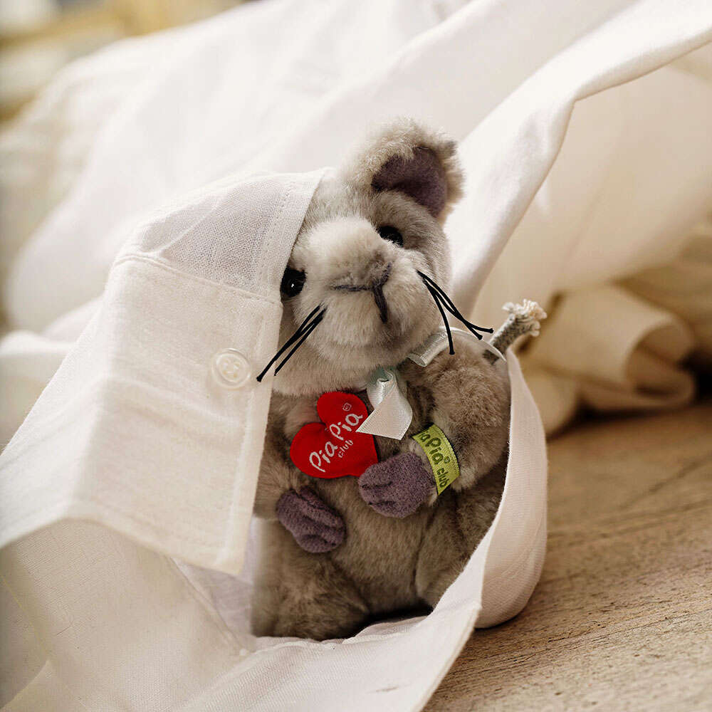 Schmitt Photodesign (Schmitt Photodesign)