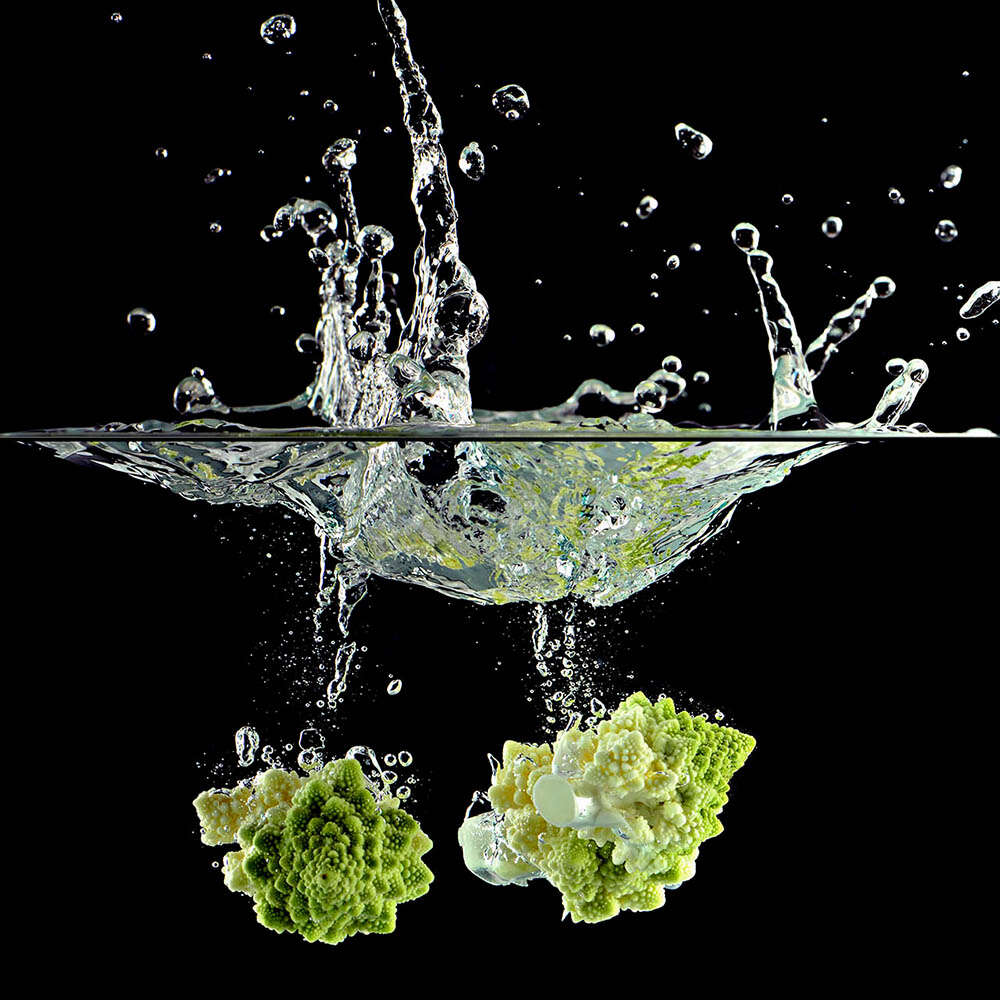 Fresh (Schmitt Photodesign)