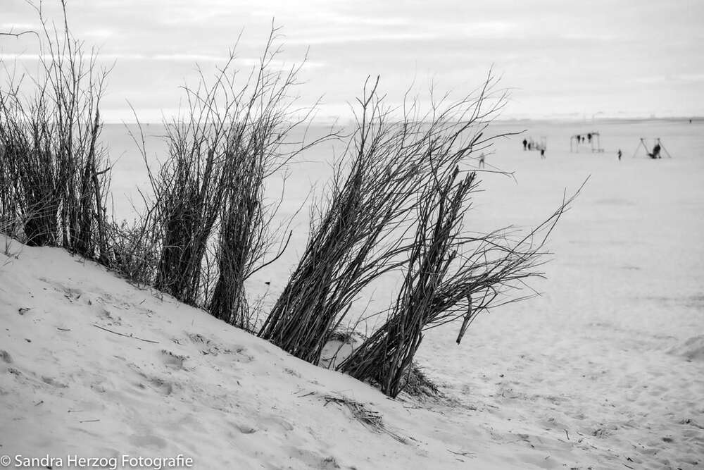 Landschaftsfotografie (Sandra Herzog Fotografie)