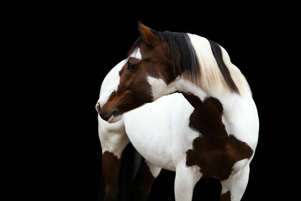 Melanie Grell (Melanie Grell)