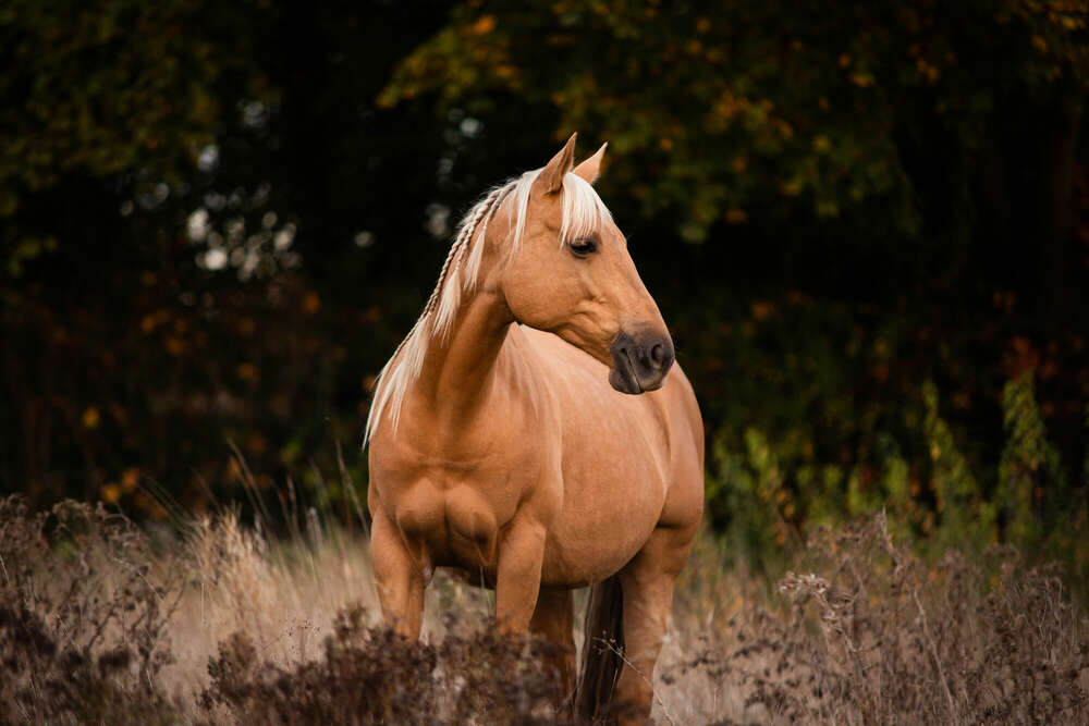 Melanie Grell (Melanie Grell)