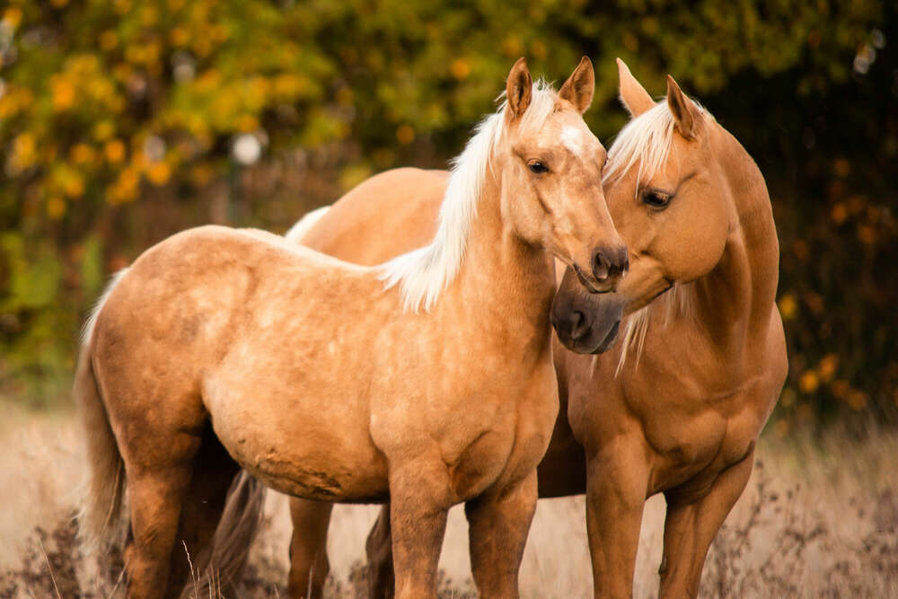 Melanie Grell (Melanie Grell)