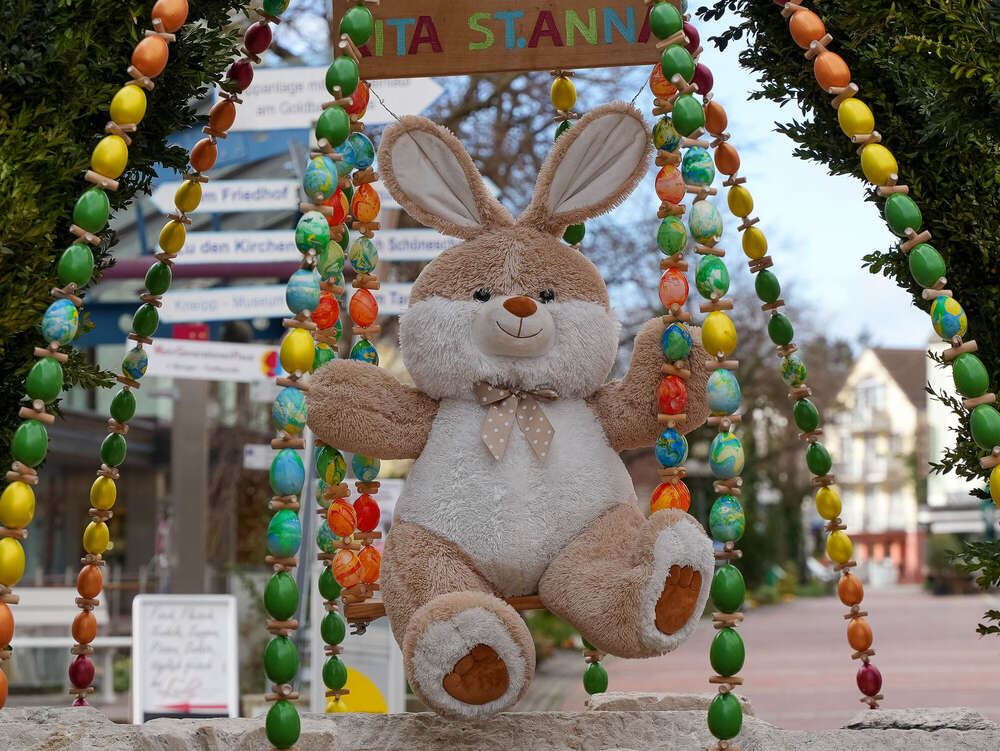 Osterhase  (Johann Medvey Fotografie)