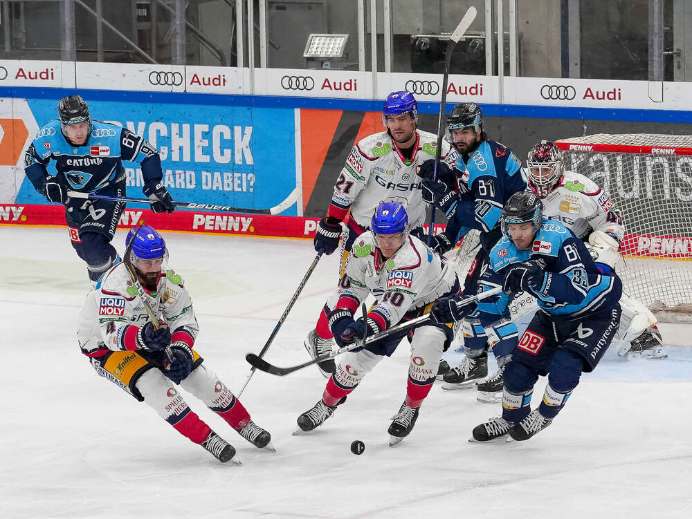 Alle auf den Puck (Johann Medvey Fotografie)