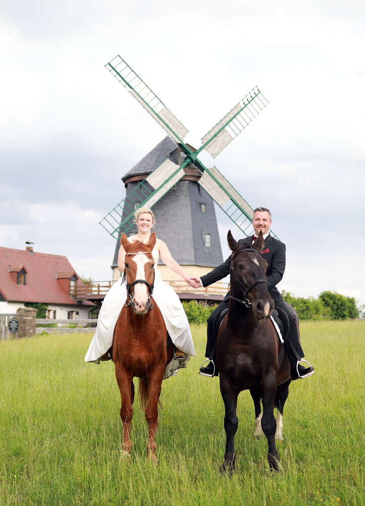 Pferdehochzeit