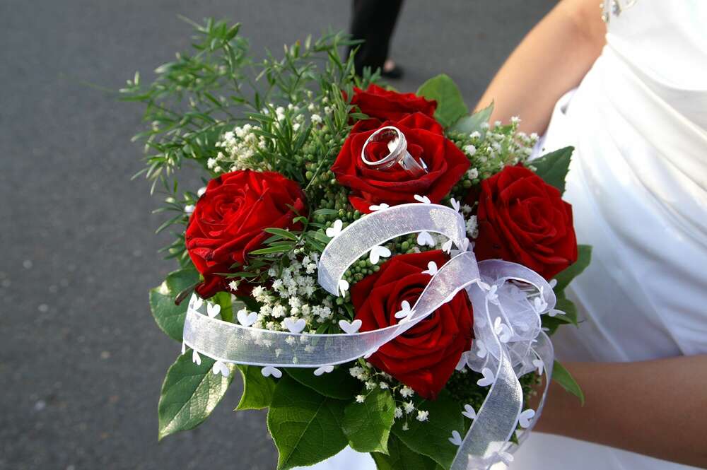 MultiMedia Art GbR (MultiMedia Art GbR)