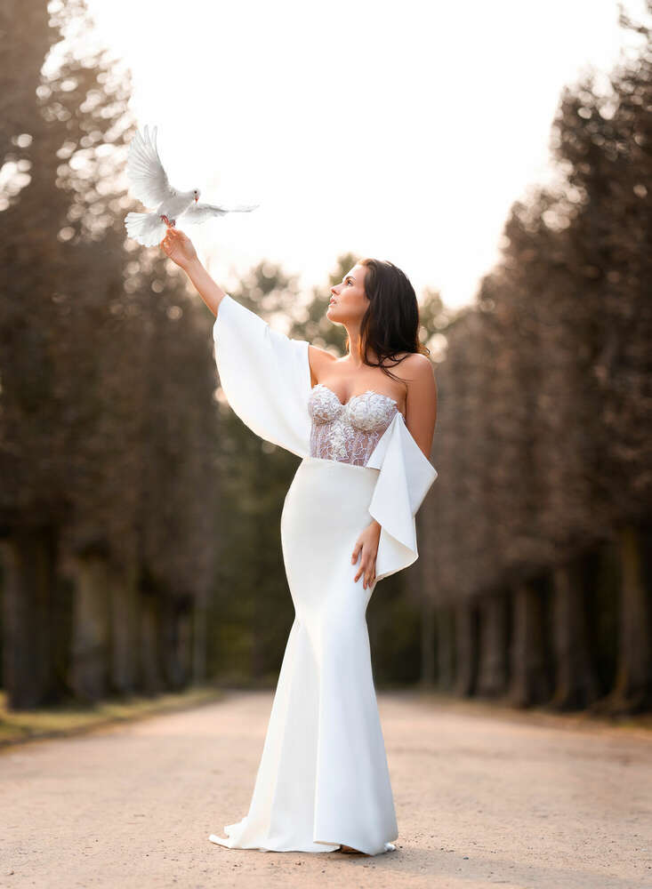 Theobaldt Foto Video