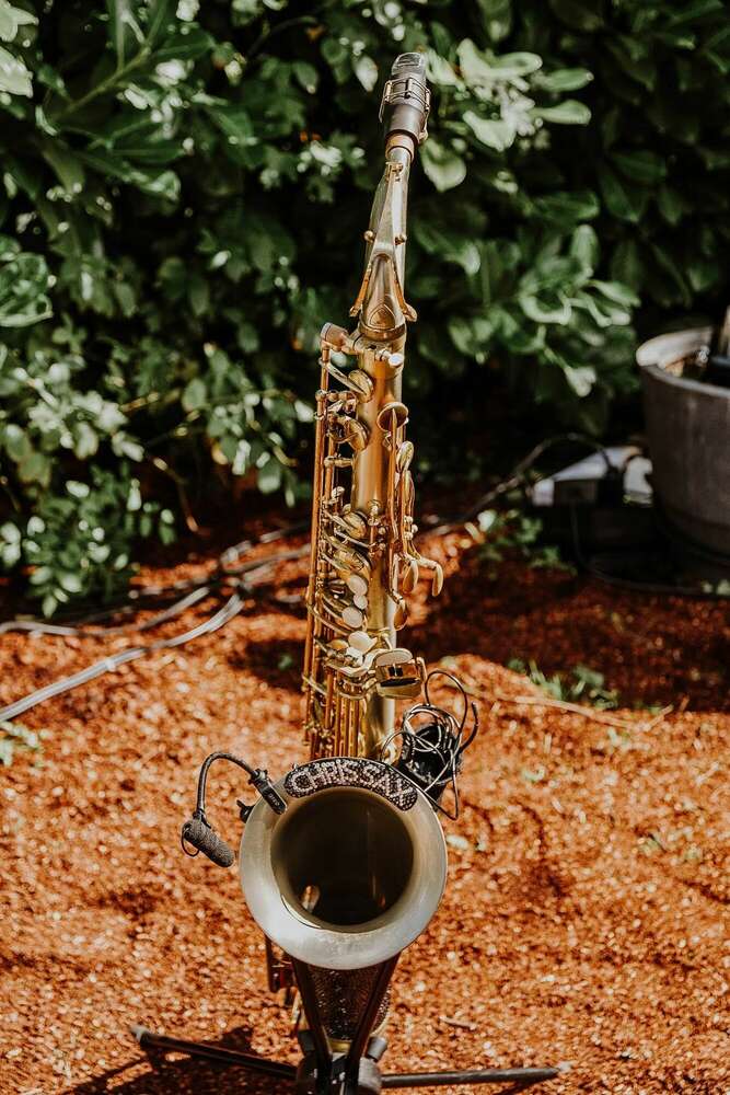 Katca_fotographie (Katca_fotographie)