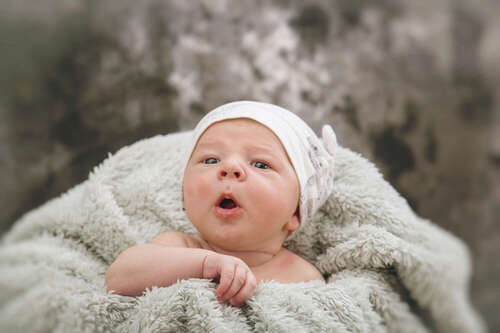 FFP-Fotofilmproduktionen