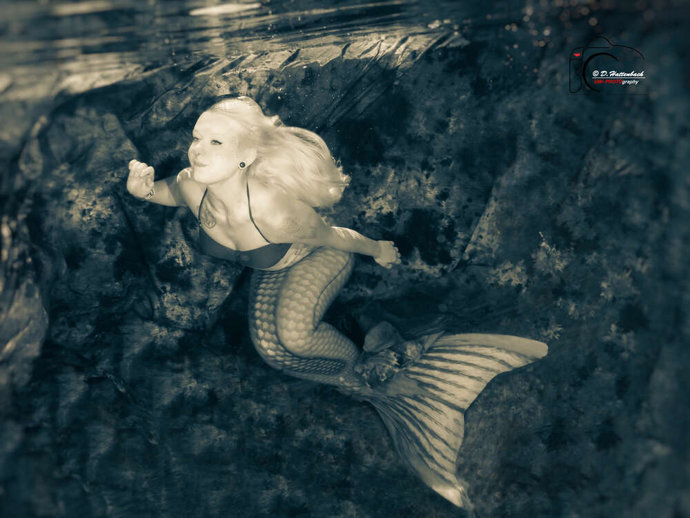 Meermaid (FFP-Fotofilmproduktionen)