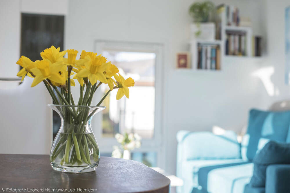 Immobilienfoto Szene (www.Leo-Helm.com/foto)