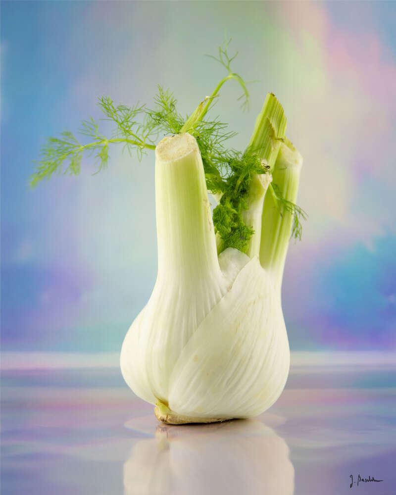 Johanna Baschke (Johanna Baschke)