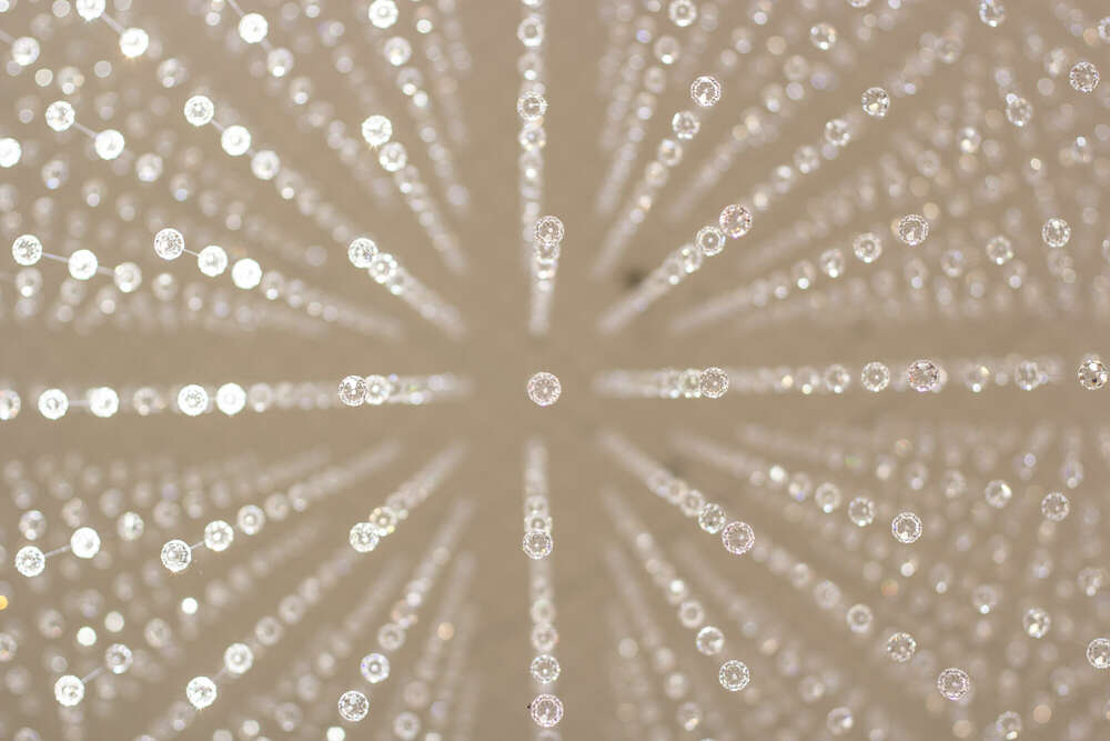 Johanna Baschke (Johanna Baschke)