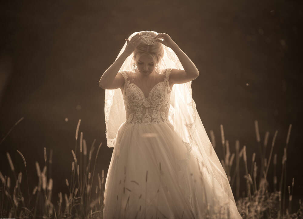 Gegenlicht Braut (Foto Studio Jörg  / Riege)