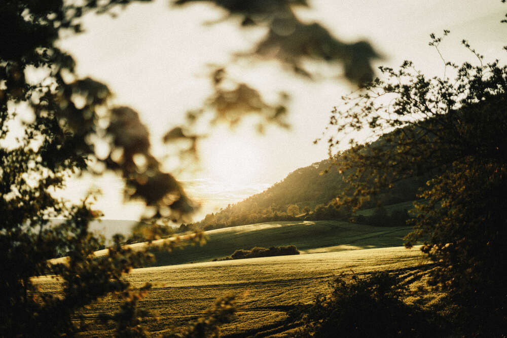 Tobias Clemens Richter (Tobias Clemens Richter)