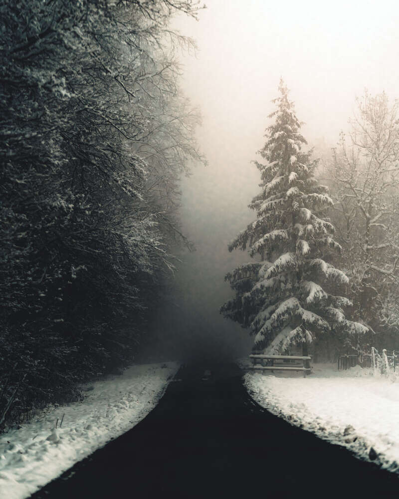 Tobias Clemens Richter (Tobias Clemens Richter)