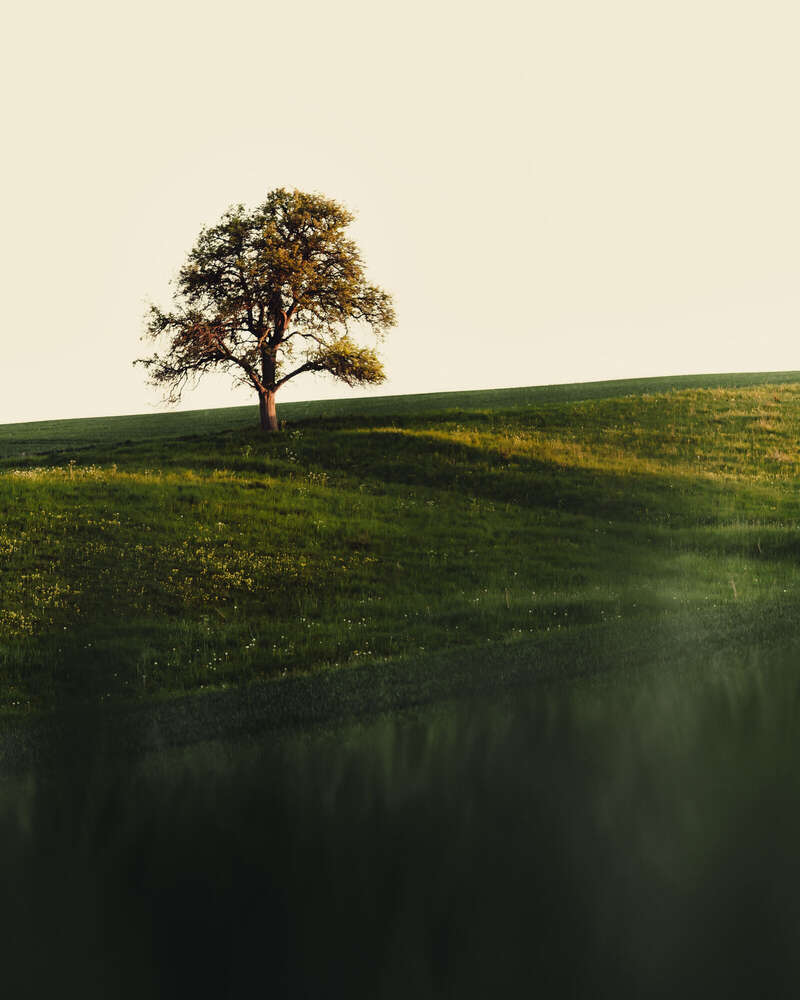 Tobias Clemens Richter (Tobias Clemens Richter)