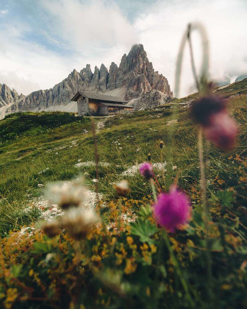 Tobias Clemens Richter (Tobias Clemens Richter)