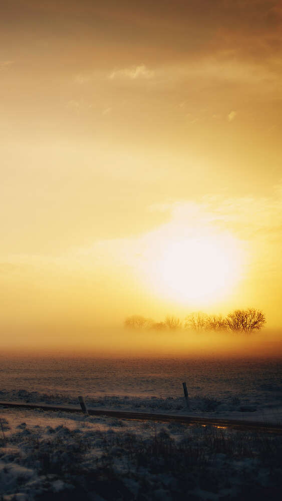 Tobias Clemens Richter (Tobias Clemens Richter)