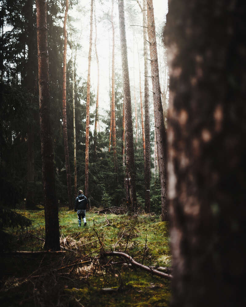 Tobias Clemens Richter (Tobias Clemens Richter)