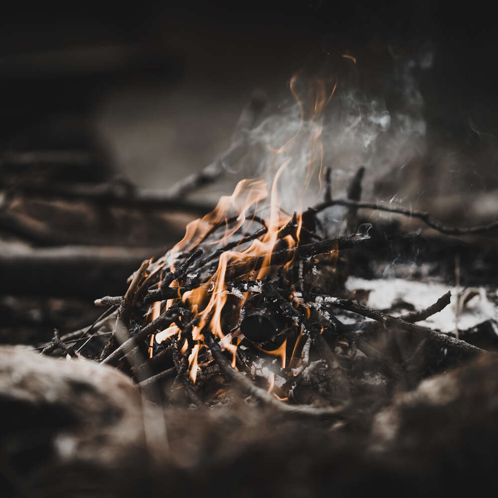 Tobias Clemens Richter (Tobias Clemens Richter)