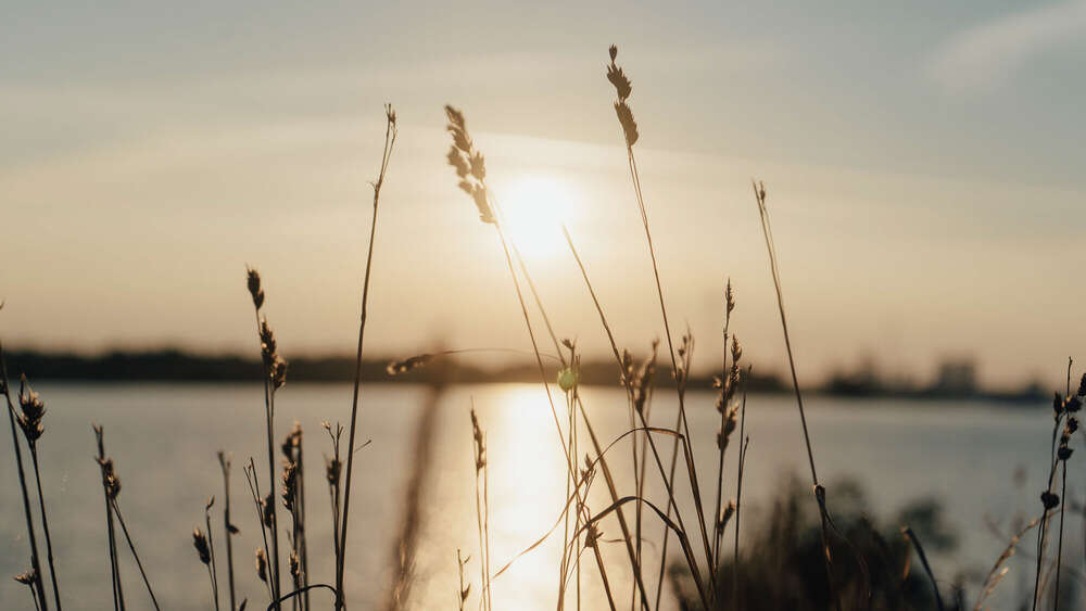 Hochzeitsfotograf Kai Schöning