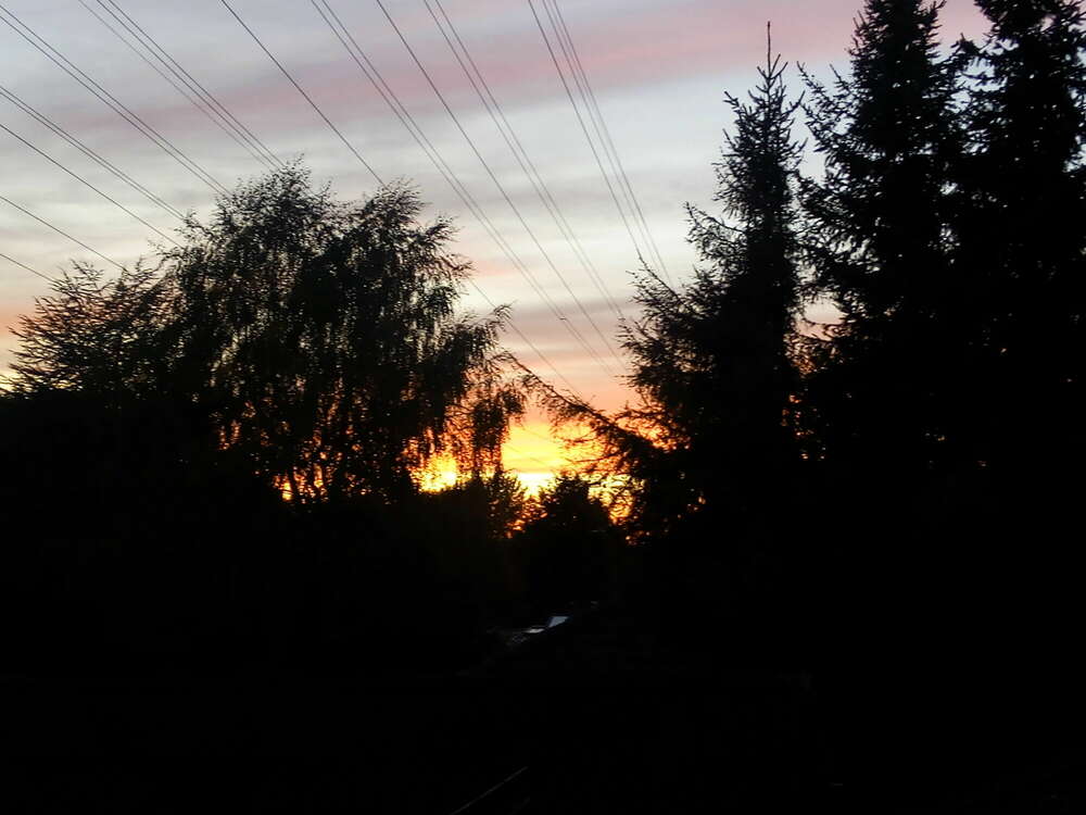 Die Fotografie ist für mich Beruf, Berufung und Leidenschaft. (Grafik - Text - Camera   -      -  gtc-studio.com)