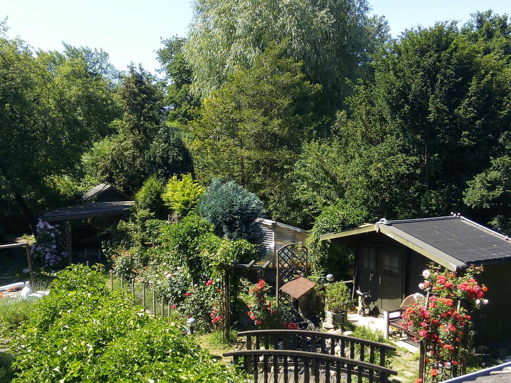 Grafik - Text - Camera   -      -  gtc-studio.com (Grafik - Text - Camera   -      -  gtc-studio.com)