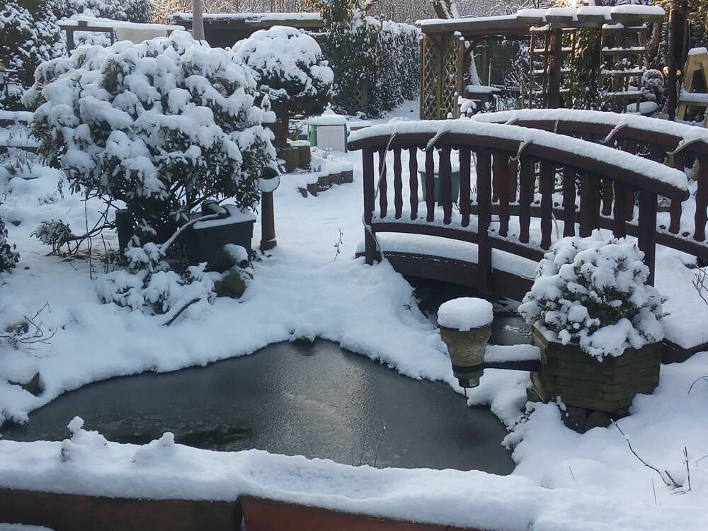 Grafik - Text - Camera   -      -  gtc-studio.com (Grafik - Text - Camera   -      -  gtc-studio.com)