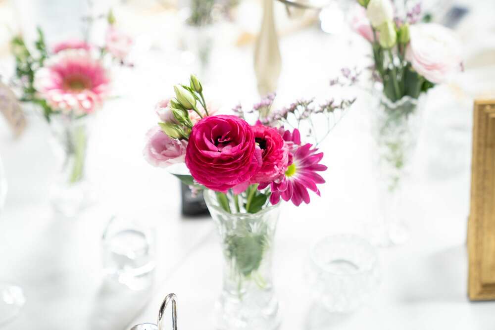 Blume (Studio Julian Friesen)