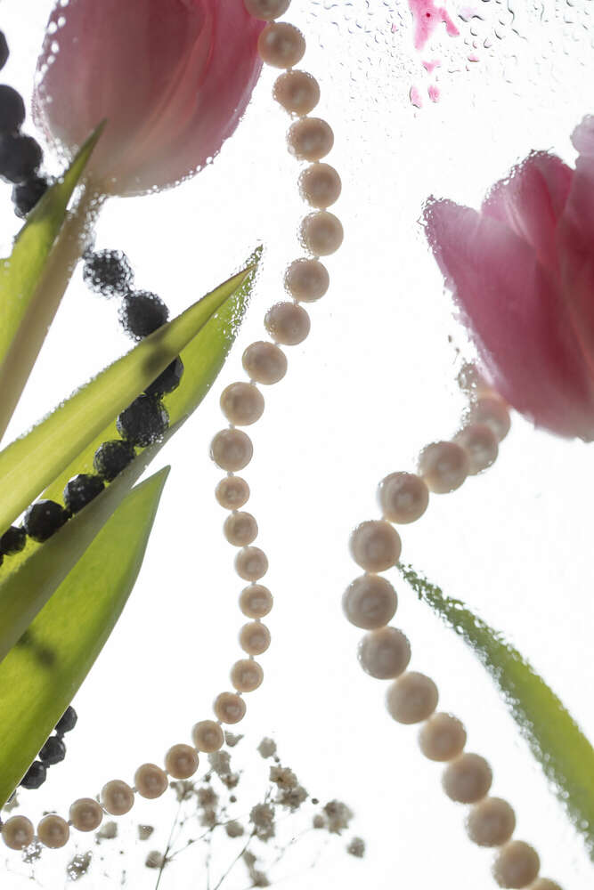 Schmuckfotografie (Lisa Bauer)