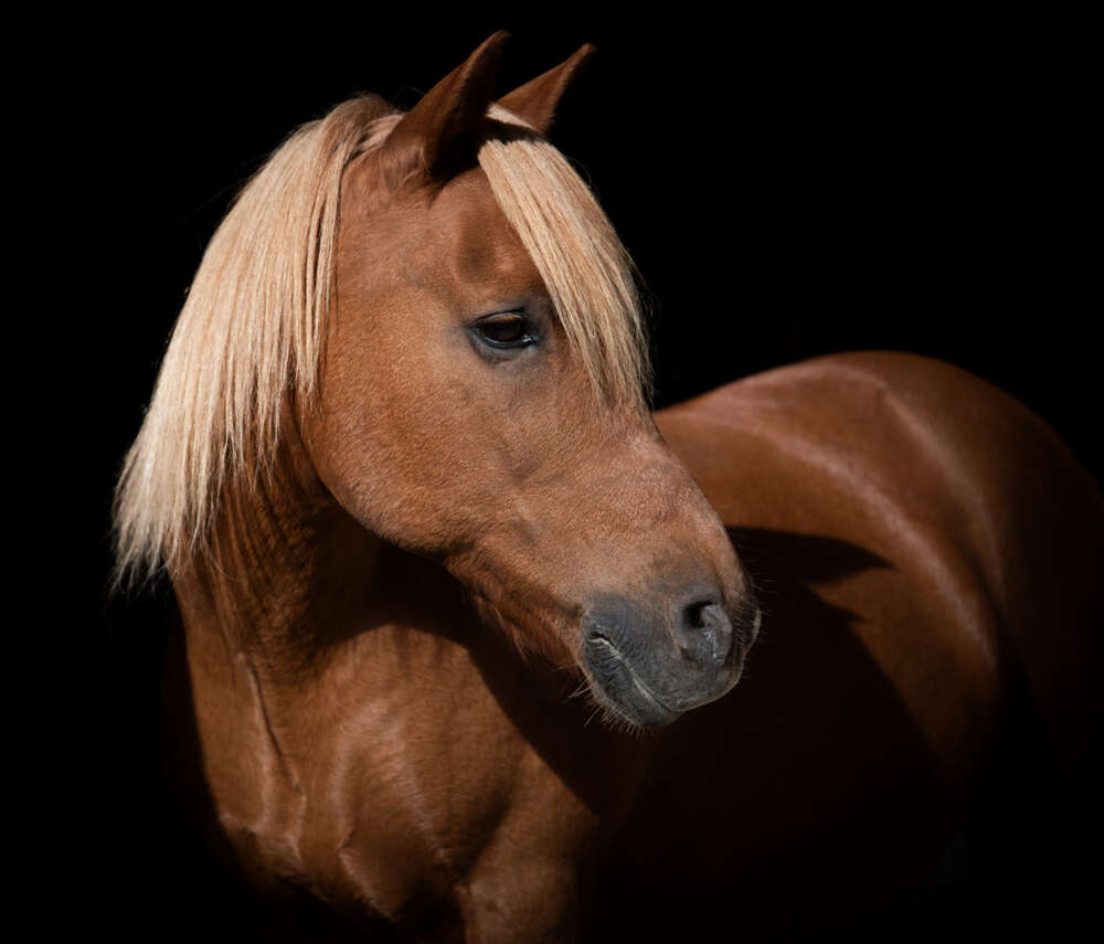 Fotodesign Klaus Glück (Fotodesign Klaus Glück)