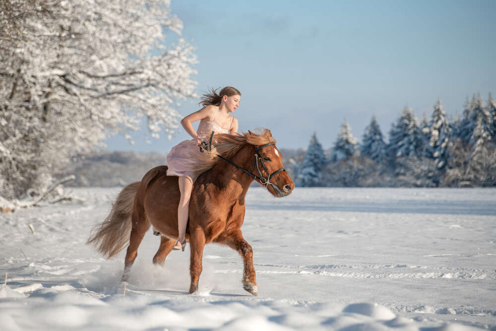 Fotodesign Klaus Glück