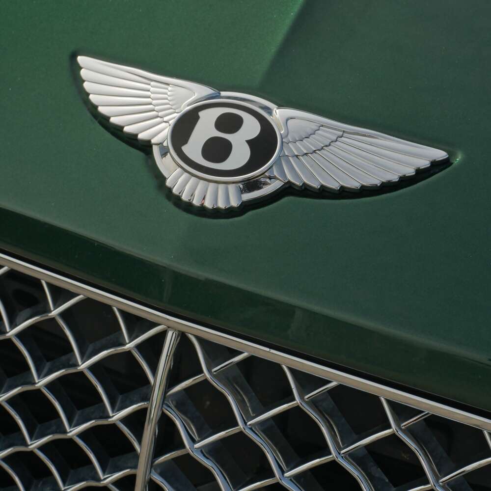 Photography by Philipp Donat (Photography by Philipp Donat)