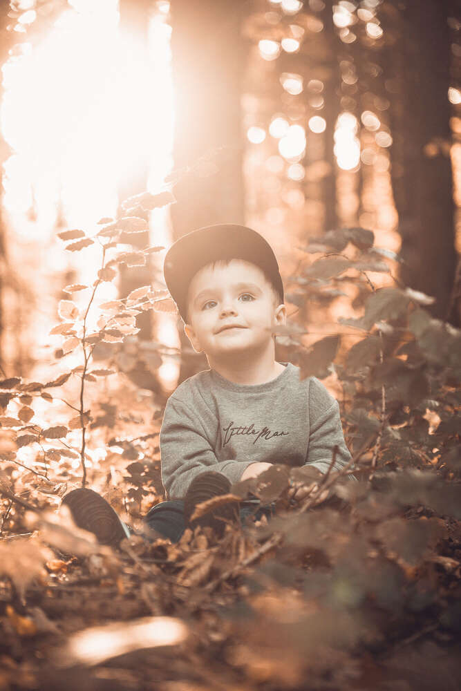 marografik (marografik)